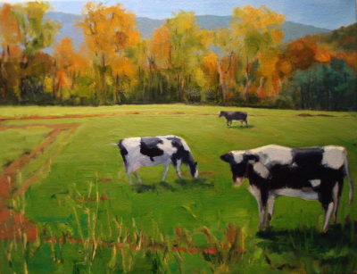Vermont_Cows_07